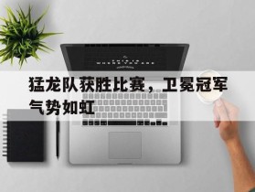 包含猛龙队获胜比赛，卫冕冠军气势如虹的词条