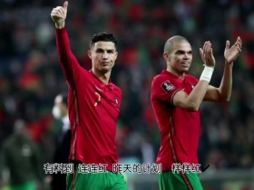 捷克战胜斯洛伐克，欧预赛中实现胜利