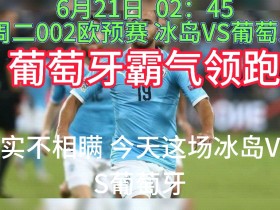 冰岛队在欧预赛中战胜对手，受到赞誉
