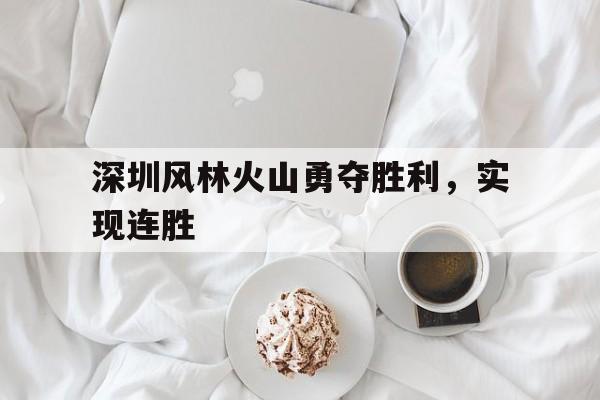 深圳风林火山勇夺胜利，实现连胜