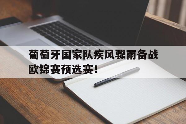 关于葡萄牙国家队疾风骤雨备战欧锦赛预选赛！的信息